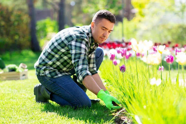 Homem cuidando de flores no jardim — Fotografia de Stock