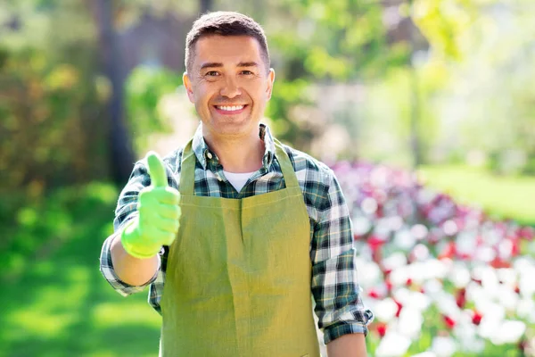 Счастливый человек в фартуке, показывающий большие пальцы в саду — стоковое фото