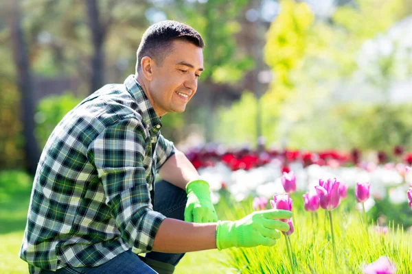 Homme heureux prenant soin des fleurs au jardin Images De Stock Libres De Droits