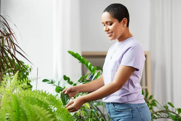 Mulher afro-americana cuidando de plantas de sala — Fotografia de Stock