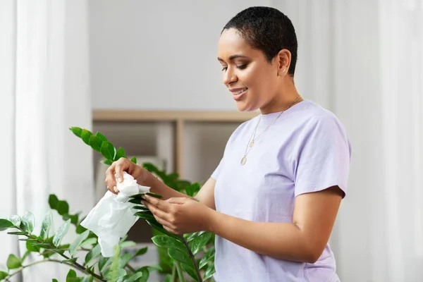 Feliz africana americana mujer limpieza houseplant —  Fotos de Stock