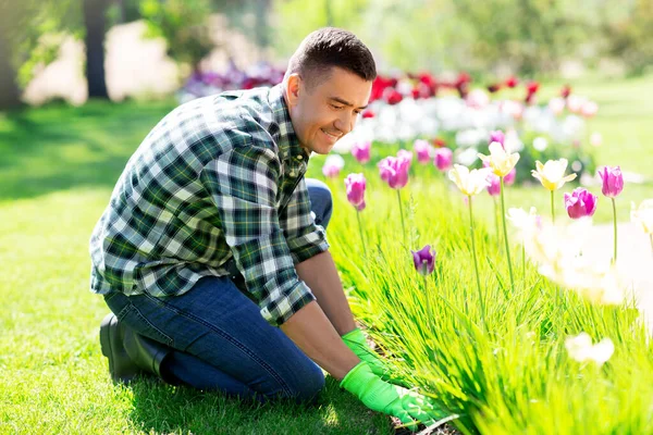 Ευτυχισμένος άνθρωπος που φροντίζει τα λουλούδια στον κήπο — Φωτογραφία Αρχείου