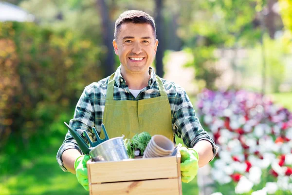 Glücklicher Mann mit Werkzeug im Karton im Sommergarten — Stockfoto