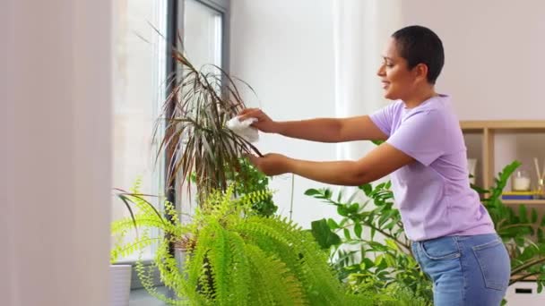 Feliz africana americana mujer limpieza houseplant — Vídeos de Stock