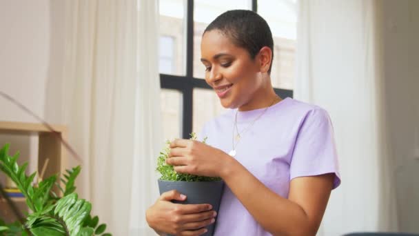Afro-amerikai nő növényekkel otthon — Stock videók