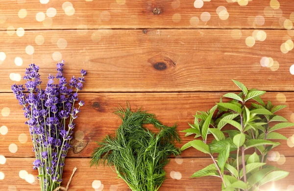 Lavendel, Dill und Pfefferminze auf Holzgrund — Stockfoto