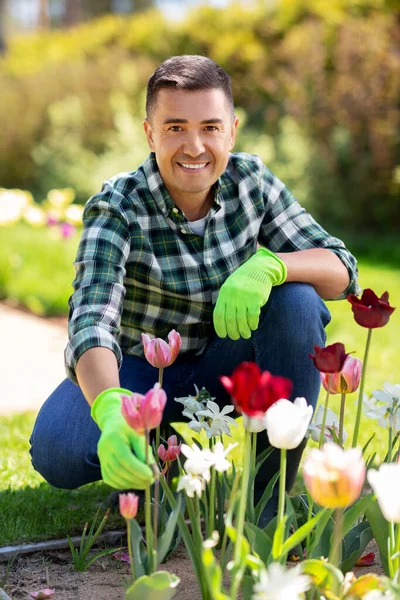 정원에서 꽃을 돌보고 있는 중년 남자 — 스톡 사진