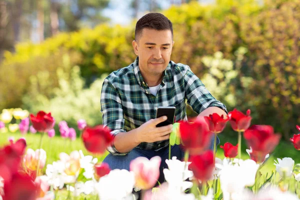 Mężczyzna w średnim wieku ze smartfonem w ogrodzie kwiatowym — Zdjęcie stockowe