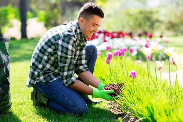 Mann mittleren Alters pflegt Blumen im Garten — Stockfoto