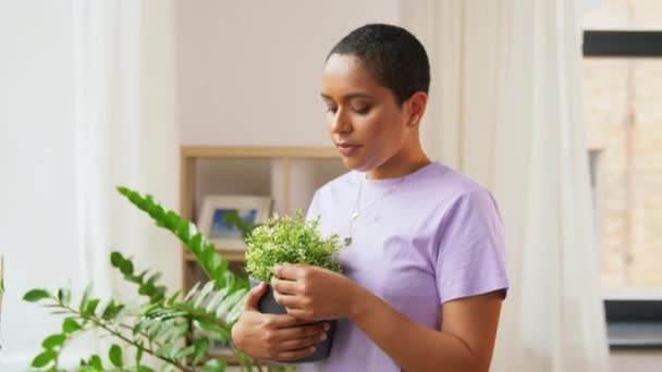 Mujer afroamericana con plantas en casa — Vídeo de stock