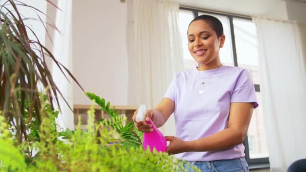 Γυναίκα ψεκασμού houseplant με νερό στο σπίτι — Αρχείο Βίντεο