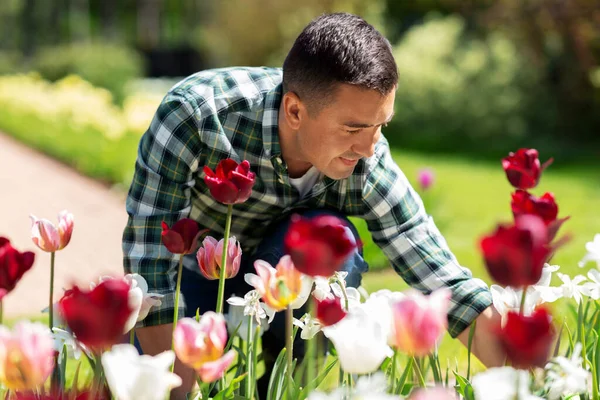 Man van middelbare leeftijd die bloemen verzorgt in de tuin — Stockfoto