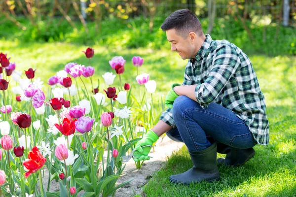 Homme avec taille prenant soin des fleurs au jardin — Photo