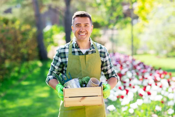 Hombre feliz con herramientas en caja en el jardín de verano —  Fotos de Stock