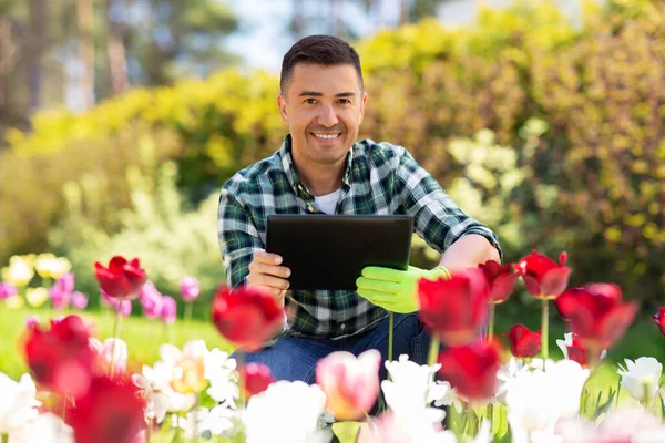 Homme avec tablette pc et fleurs au jardin d'été — Photo