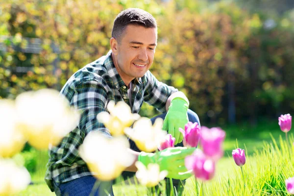 Glücklicher Mann kümmert sich um Blumen im Garten — Stockfoto