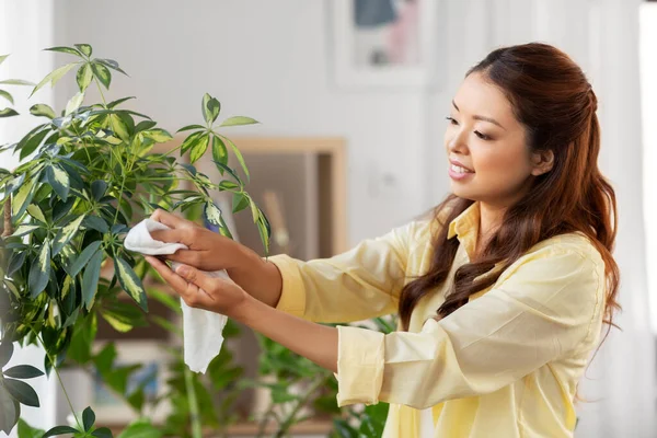 Feliz asiático mujer limpieza houseplant — Foto de Stock