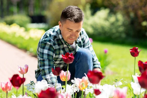 Man van middelbare leeftijd die bloemen verzorgt in de tuin — Stockfoto