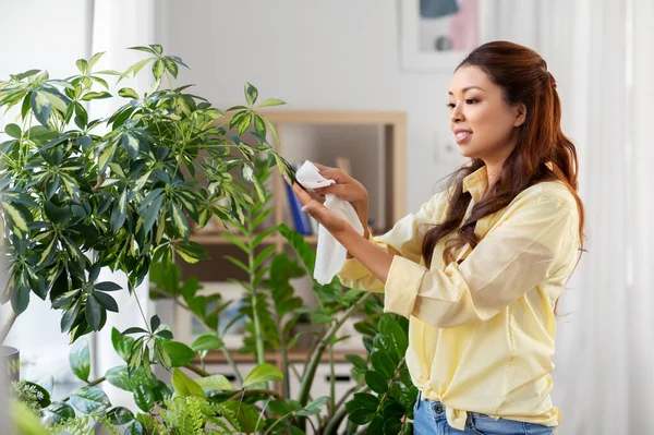 Happy asian woman cleaning houseplant — Stock Photo, Image