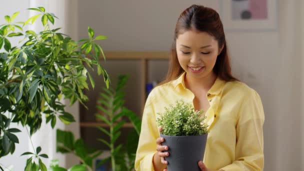 Glad asiatisk kvinna med blomma i kruka hemma — Stockvideo