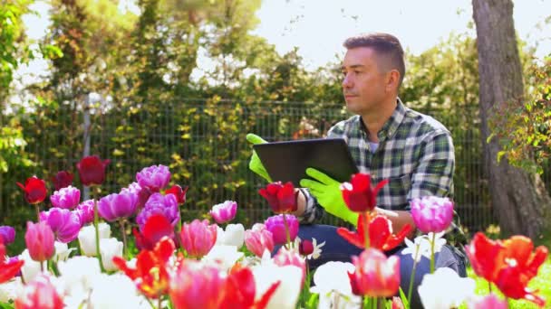 Man med surfplatta och blommor på sommaren trädgård — Stockvideo