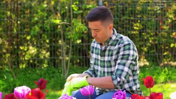 Om cu unelte în cutie la grădina de vară — Videoclip de stoc