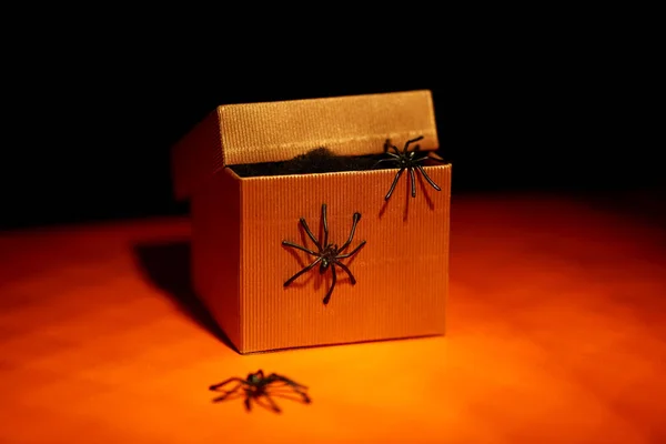 Pavouci hračky vylézají z dárkové krabice na Halloween — Stock fotografie