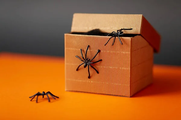 Pavouci hračky vylézají z dárkové krabice na Halloween — Stock fotografie