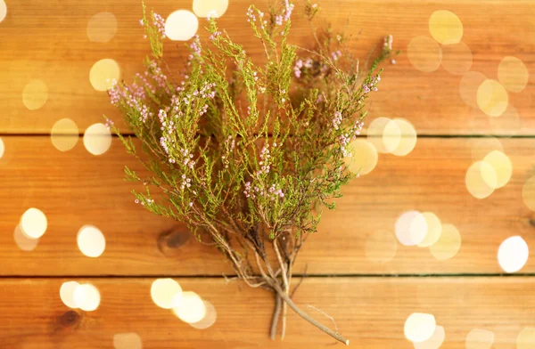 Bruyère sur table en bois — Photo