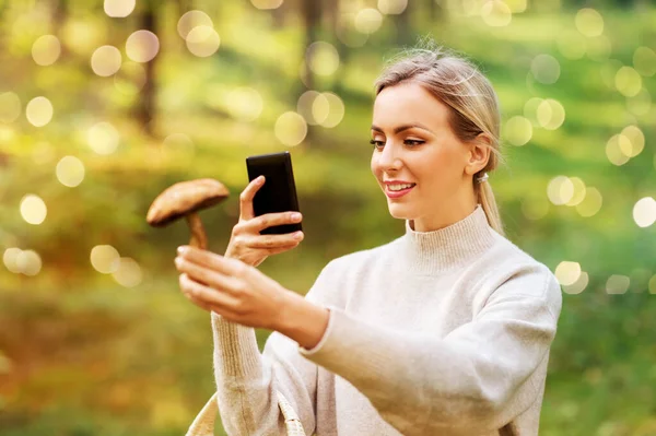 Mulher usando smartphone para identificar cogumelo — Fotografia de Stock