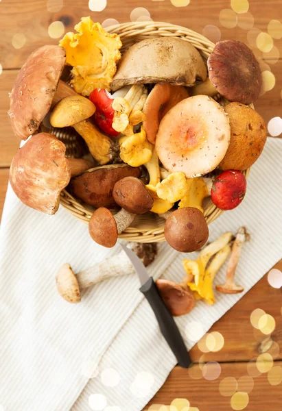 Cesta de diferentes cogumelos comestíveis e faca — Fotografia de Stock