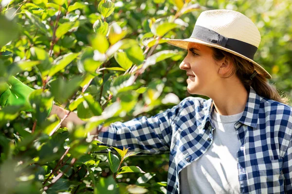 Женщина в шляпе работает в летнем саду — стоковое фото