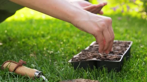 Vrouw planten zaden in schimmel met aarde in de tuin — Stockvideo