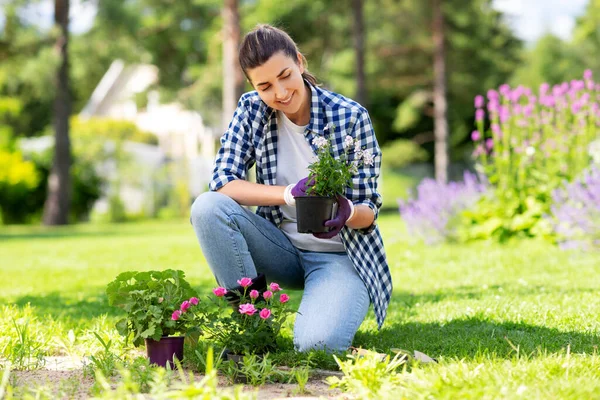 Vrouw planten roos bloemen in de zomer tuin Rechtenvrije Stockfoto's