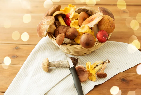 Cestino di diversi funghi commestibili e coltello — Foto Stock