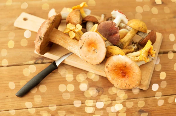 Eetbare paddenstoelen op houten snijplank en mes — Stockfoto