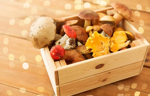 Scatola di legno di diversi funghi commestibili — Foto Stock