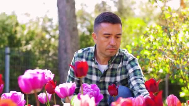 Medelålders man som tar hand om blommor i trädgården — Stockvideo