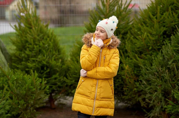 Petite fille choisir arbre de Noël au marché — Photo