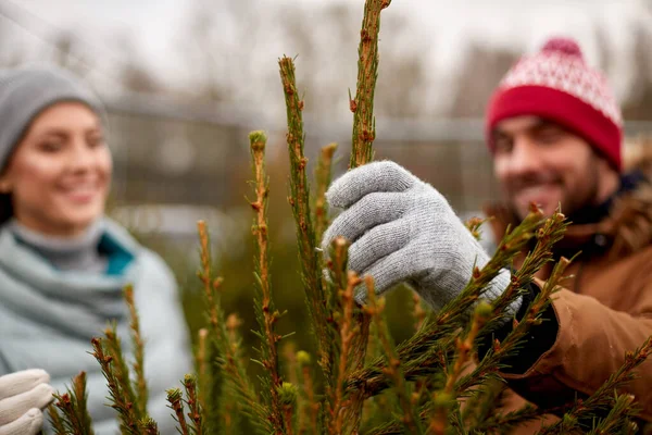 Feliz pareja comprando árbol de Navidad en el mercado — Foto de Stock