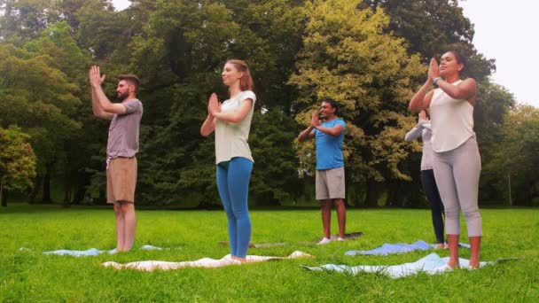 Groep mensen die yoga doen in het zomerpark — Stockvideo