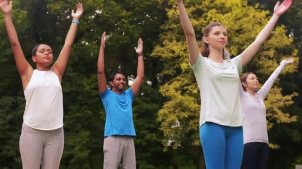 Grupa osób uprawiających jogę w letnim parku — Wideo stockowe