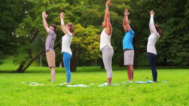 Groep mensen die yoga doen in het zomerpark — Stockvideo