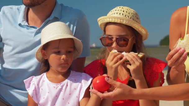 Счастливая семья, устраивающая пикник на летнем пляже — стоковое видео