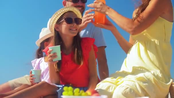 Famiglia felice facendo picnic in estate — Video Stock