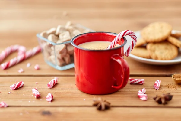 Tasse Eierlikör mit Zuckerrohr, Keksen und Zucker — Stockfoto