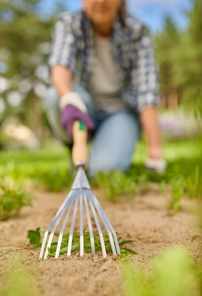 Femeie plivire pat de flori cu greblă la grădina de vară — Fotografie, imagine de stoc