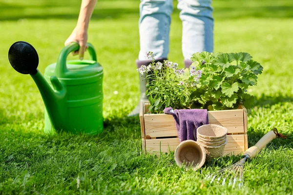 Vrouw met tuingereedschap in houten kist in de zomer — Stockfoto