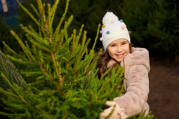 Little girl choosing christmas tree at market — Stock Photo, Image