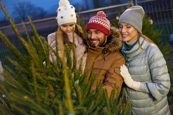 幸せな家族は市場でクリスマスツリーを選ぶ — ストック写真